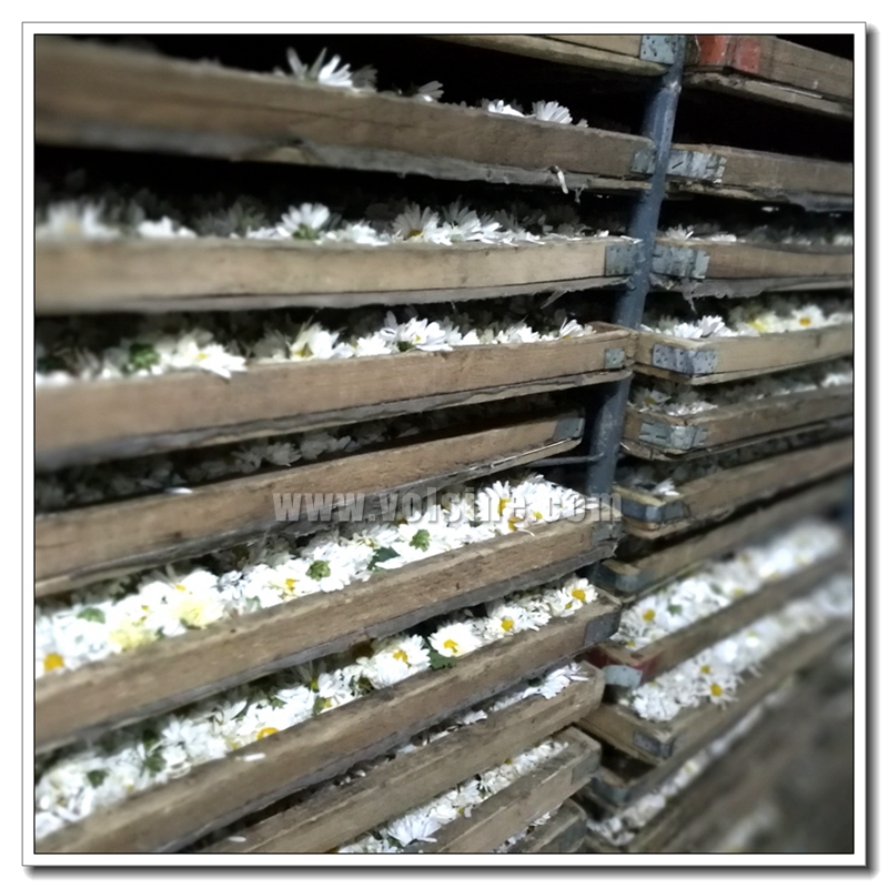 杭白菊烘干機(jī)